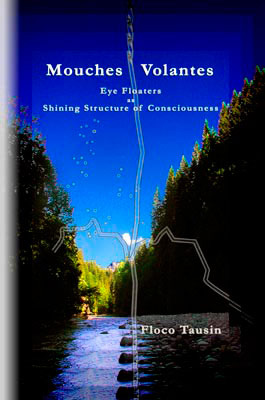 The Book "Mouches Volantes - Eye Floaters as Shining Structure of Consciousness".