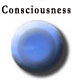 Eye Floaters and Consciousness