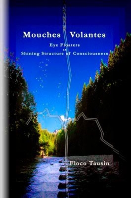 Mouches Volantes: Eye Floaters as Shining Structure of Consciousness