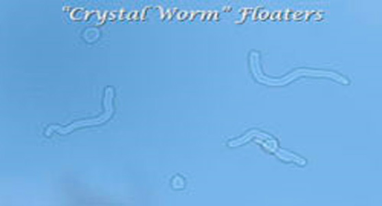 Dr. James H. Johnson from the USA: Crystal Worm Floaters.