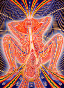 Alex Grey Artwork: "Birth" (19,5x14,5 in. signed limited edition of 300).