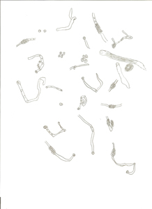 Shining structure floaters by Tim Stevenson.